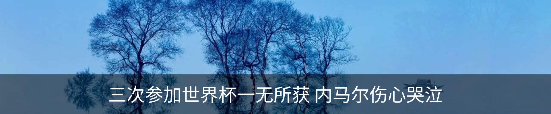 内页banner