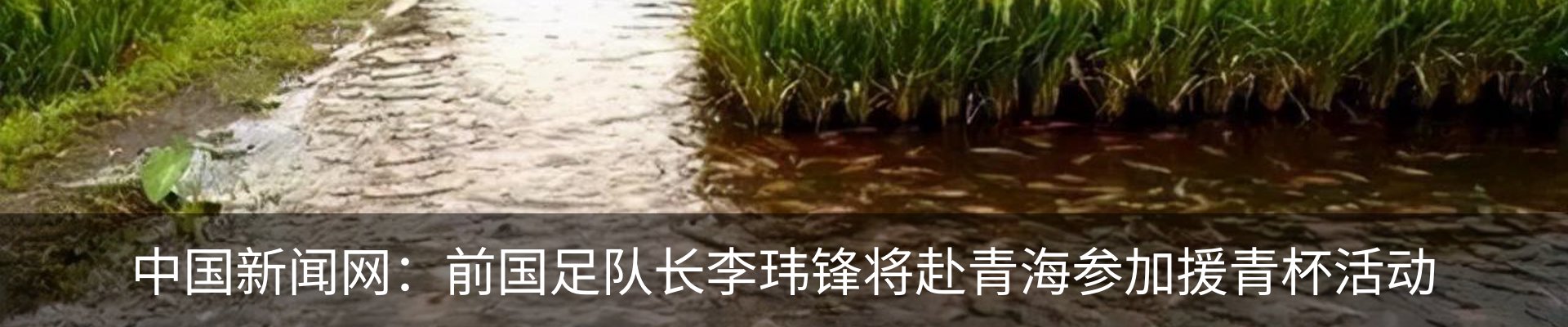 内页banner