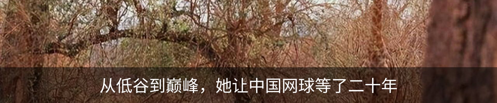 内页banner