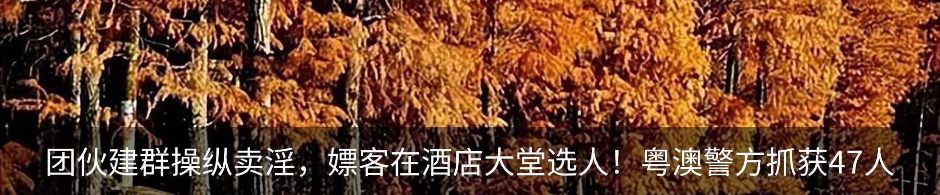 内页banner