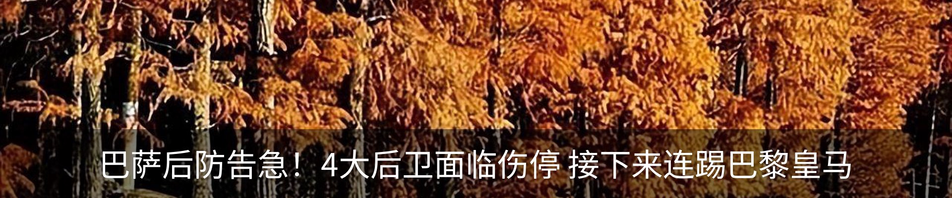 内页banner