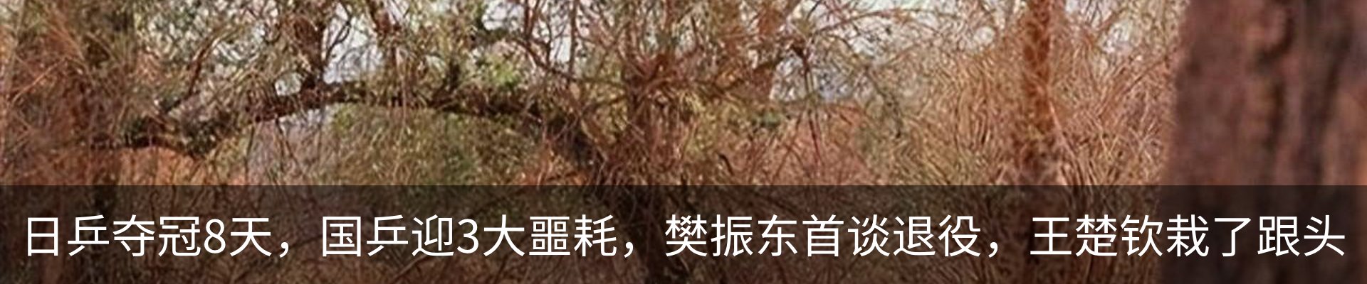 内页banner