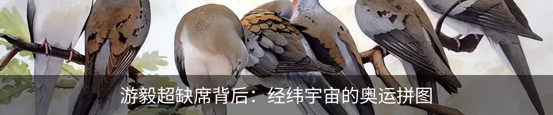 内页banner