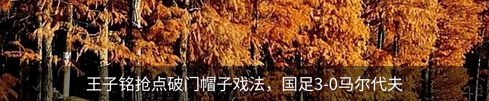 内页banner