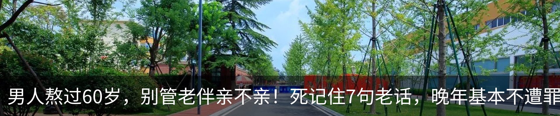 内页banner