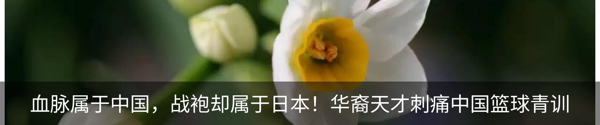内页banner