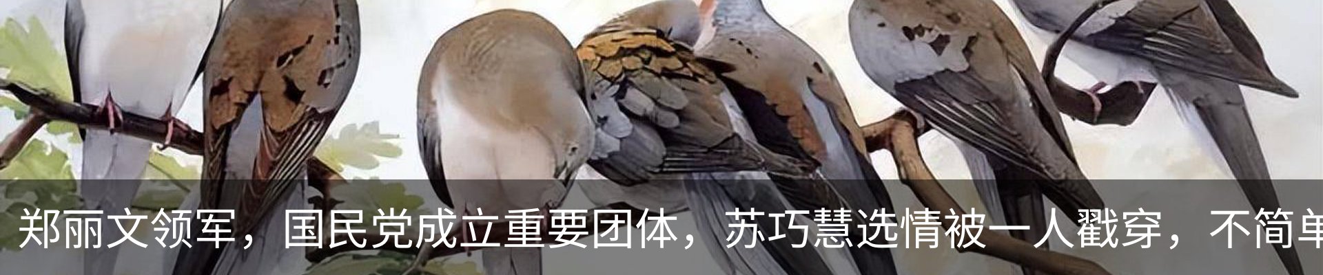 内页banner