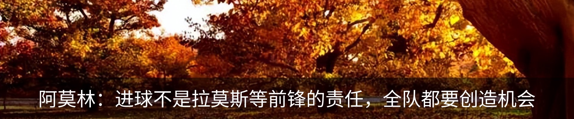 内页banner