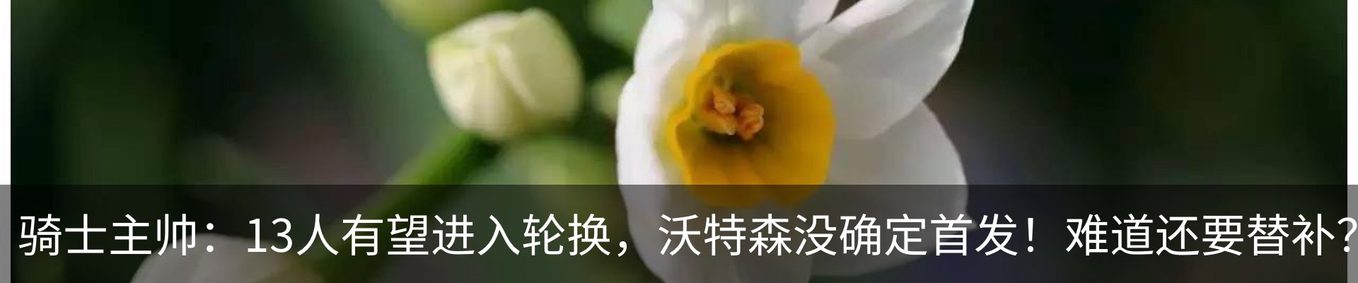 内页banner