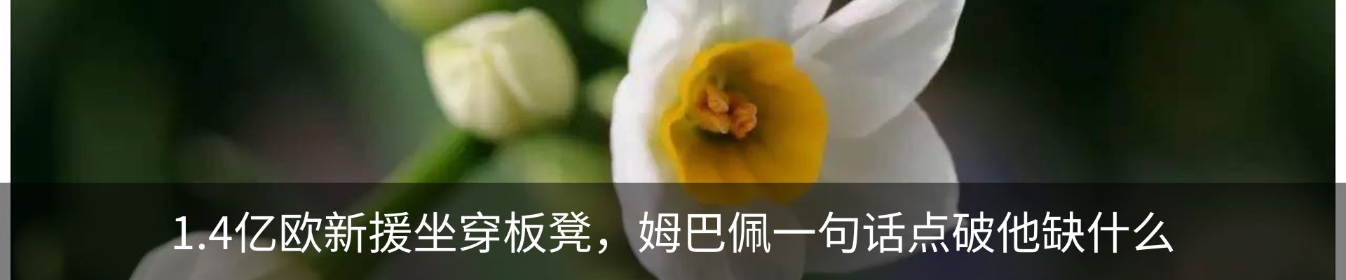 内页banner